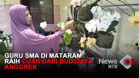 Guru Sma Di Mataram Raih Cuan Dari Budidaya Anggrek Youtube