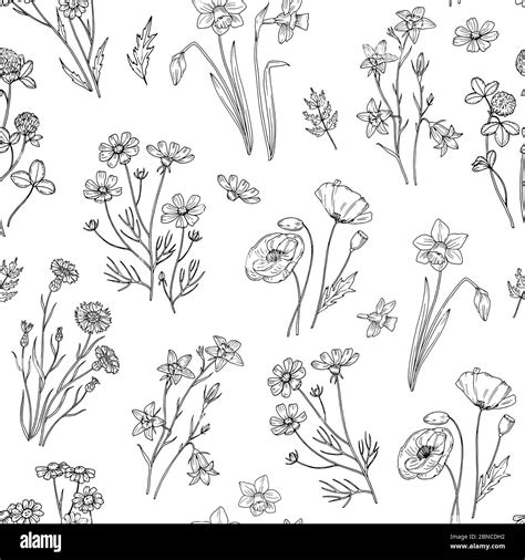 Wild flower pattern. Floral seamless wallpaper with wildflowers ...