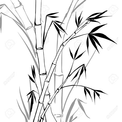 Bamboo Tree Drawing at GetDrawings | Free download