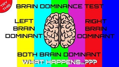 Brain Dominance Test You Are Left Brain Or Right Brain Personality