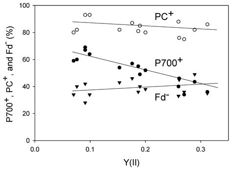 Oxidation Of P700 Induces Alternative Electron Flow In Photosystem I In Wheat Leaves