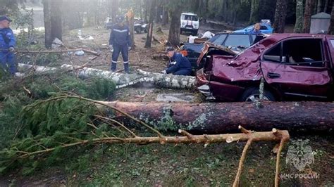 O furtună a făcut ravagii pe malul unui lac din Rusia Sunt cel puţin