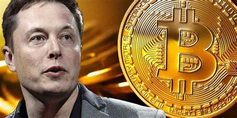 Elon Musk Wrote Bitcoin In His Twitter Bio And This Happened Highxtar