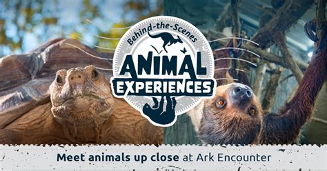 Behind-the-Scenes Animal Experiences | Ark Encounter