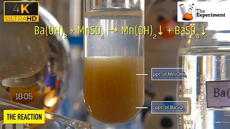 What Happens When Barium Hydroxide Ba Oh 2 And Manganese Ii Sulfate