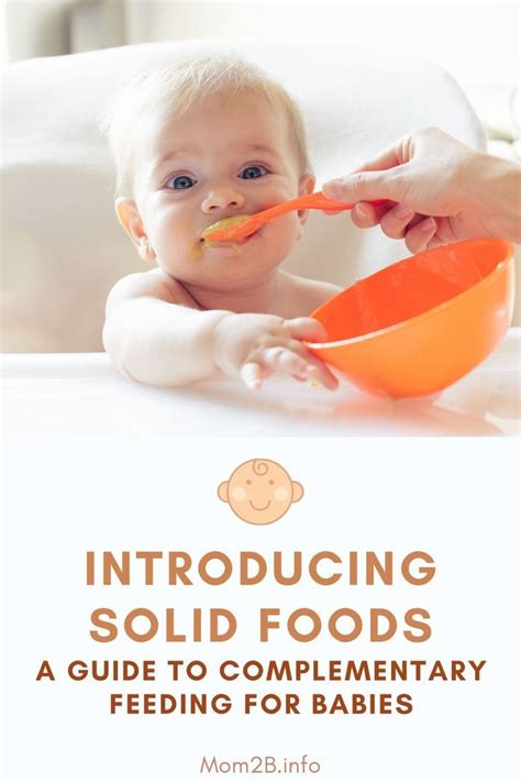 Introducing Solid Foods A Guide To Complementary Feeding For Babies