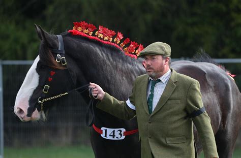 Best Photos From The Romsey Show Daily Echo