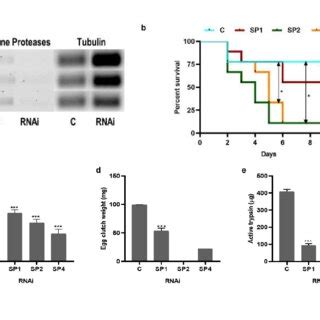 Effect Of Serine Protease Knockdown On Adult Female I Scapularis