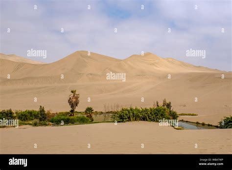 Huacachina Desert Oasis Ica Peru Stock Photo Alamy