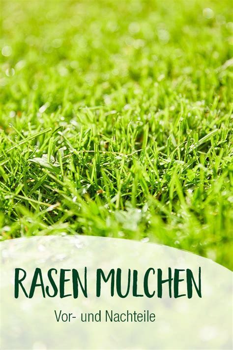 Rasen Mulchen Welche Vorteile Nachteile Gibt Es Mulchen Rasen