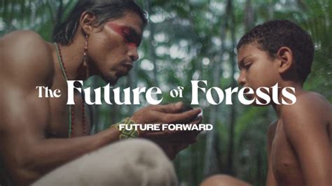 Future Forward - Future Of Forests