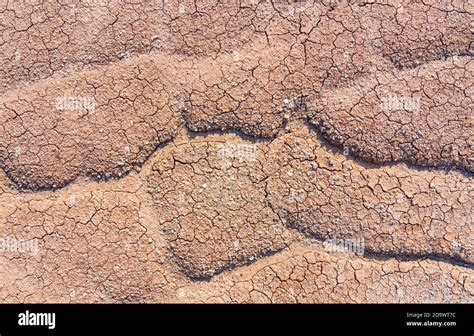 Dry Barren Cracked Soil Background Stock Photo Alamy