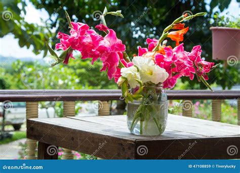 Blume Im Vase Stockbild Bild Von Schönheit Frisch Geschenk 47108859