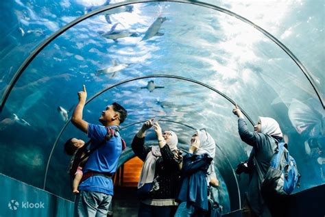 Giảm đến 10 Langkawi Underwater World Admission Ticket in Malaysia