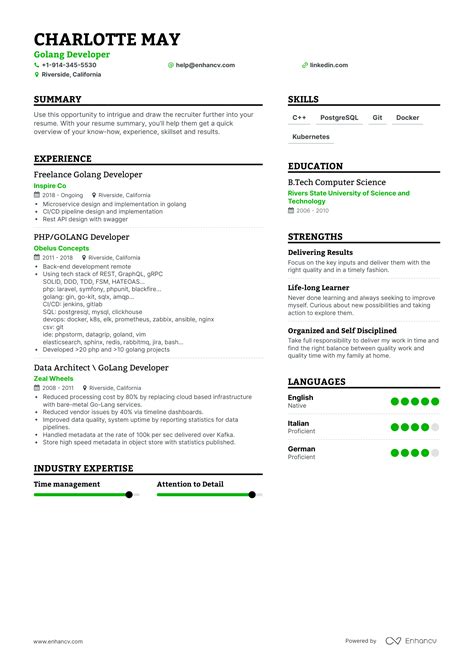 Job Winning Golang Developer Resume Examples Samples Tips Enhancv