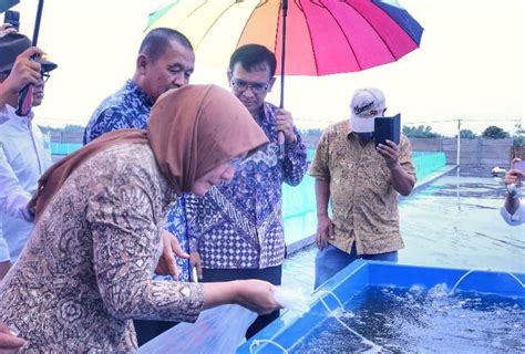 Smk Pusat Keunggulan Puger Jember Resmikan Teaching Factory Tambak