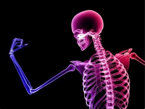 The Importance Of Bone Health Sarasotas Private Gym