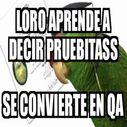 Meme Personalizado Loro Aprende A Decir Pruebitass Se Convierte En QA