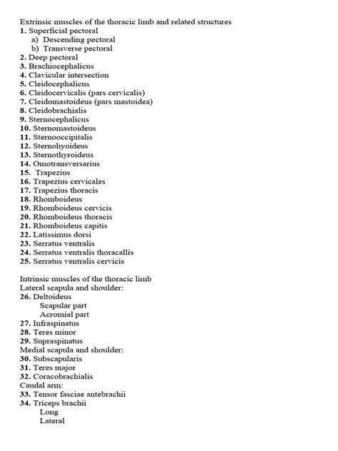 Muscles Names | PDF | Human Leg | Soft Tissue