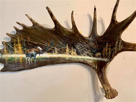 Moose Antler Paintings – Steve Kerr, Artist