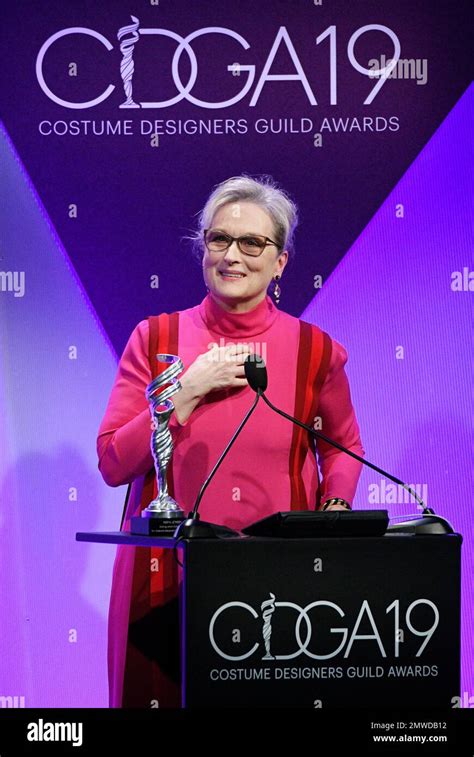 Actress Meryl Streep Accepts The Distinguished Collaborator Award