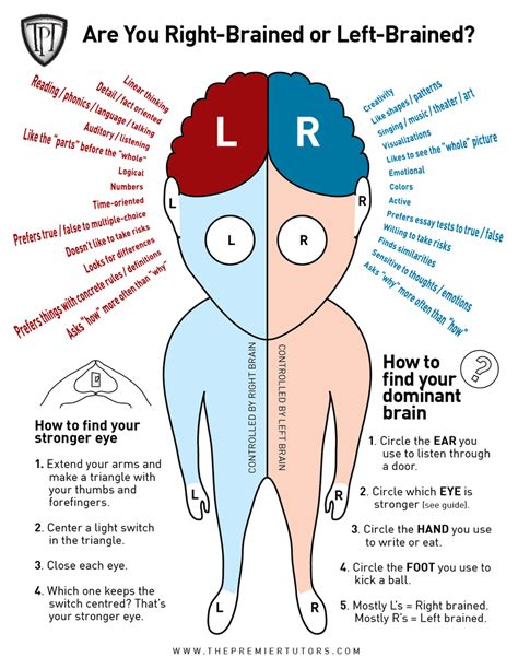 left of right brain dominant - #i Ace My Exams