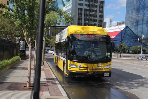 Dallas DART Bus - Regional Transit Photos & Videos - NYC Transit Forums