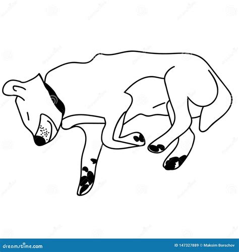 Sleeping Dog Outline. Isolated Illustration Stock Vector - Illustration ...