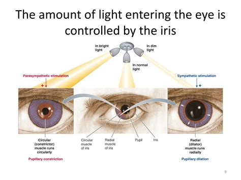 Ppt Vision I Powerpoint Presentation Free Download Id1867406