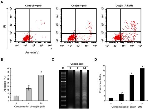 Figure 2 From Activation Of Multiple Apoptotic Pathways In Human