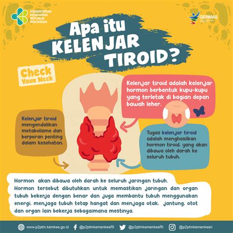 Yuk Mengenal Apa Itu Kelenjar Tiroid Penyakit Tidak Menular Indonesia