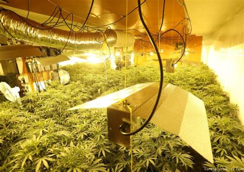 Cannabis Grow Tent Ventilation Guide: How to Calculate Your Needs ...