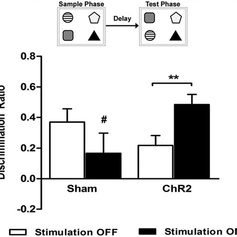 Light Stimulation Of Glutamatergic Neurons And Nop Discrimination