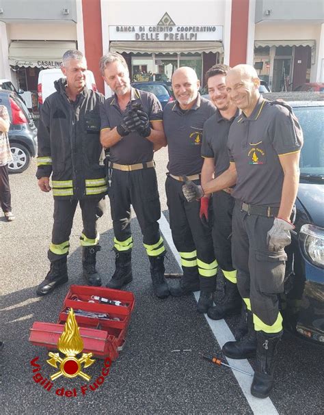 Il Micetto Resta Incastrato Nel Vano Motore Dell Auto Salvato E Subito