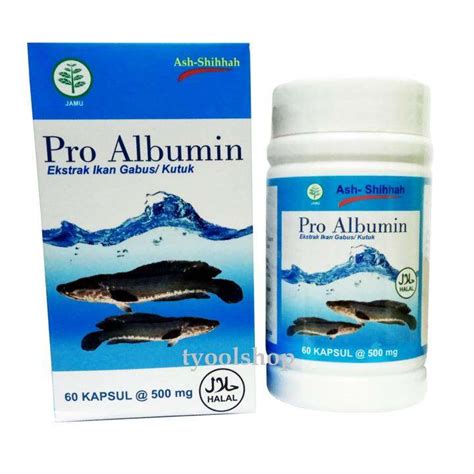 Pro Albumin 100 Ekstrak Ikan Gabus Kutuk Kapsul Albumin Ikan Gabus