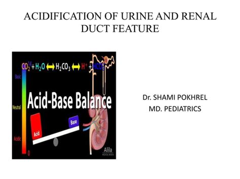 Renal Acid Base Pptx