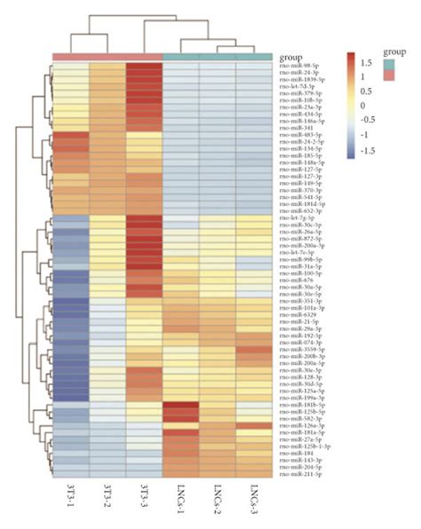 Identification Of Differentially Expressed Mirnas And The Related Kegg