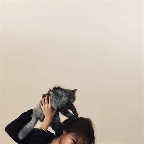 Smokey - The Cat Of Dubai - AlGhurairRayhaanandArjaanRotana