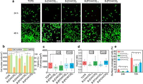 Viability Test And Quantification Of C H T Cells On Crosslinked