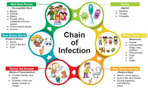 Chain of infection - Ottawa Public Health