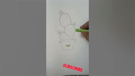 How To Draw A Cactus🌵🌵🌵 Easy Step By Step Simple And Easy Cactus🌵 Drawing Sujeelaksh1237 Youtube