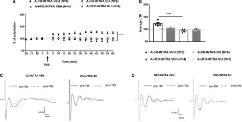 Effects Of Local Intra Mpfc Gr Blockade On Prefrontal Ltp In Hfd And