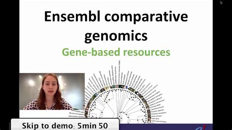 Comparative Genomics Data In Ensembl 1 Homology And Gene Trees Youtube