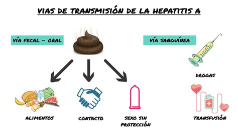 Hepatitis A Contagio S Ntomas Y C Mo Prevenirla Digestivo Saludable