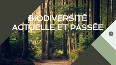 Copy Biodiversit Actuelle Et Pass E