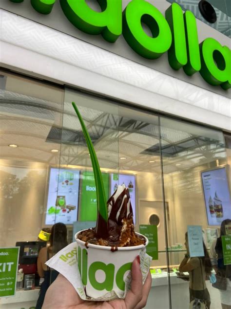 ร้าน Llaollao Universal Singapore รีวิวร้านอาหาร