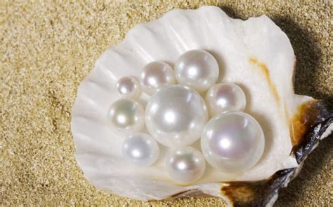 Pearl Diving in the UAE: History, Economy, Facts & More - MyBayut