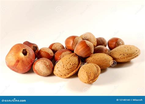 Fall season fruits stock photo. Image of shells, copy - 12140144