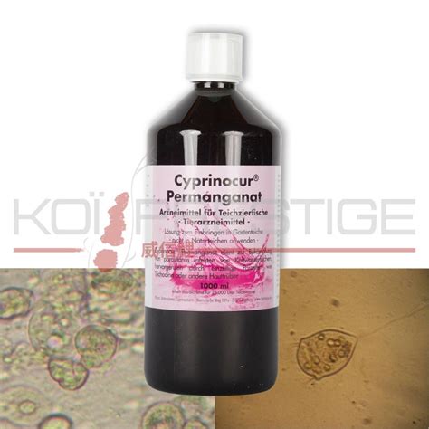 Permanganate De Potassium Litre Pour Traiter Les Bassins Carpe Ko