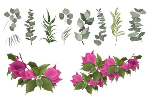 Bougainvillea Shrubs: Over 286 Royalty-Free Licensable Stock ...